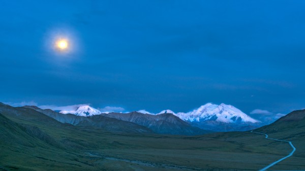 Denali By Moonlight by John Freeman
